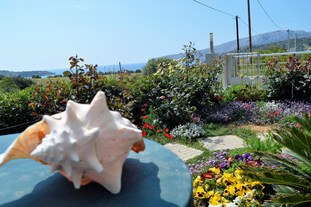 Sandra'S Sea View At Sounio Sounion Exterior photo